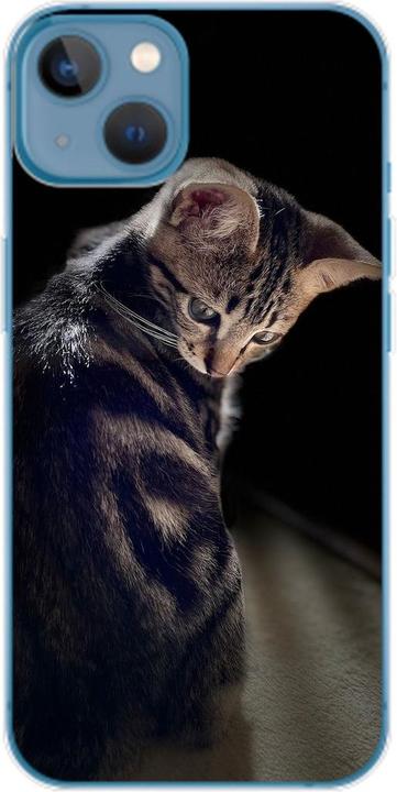 Junge Katze