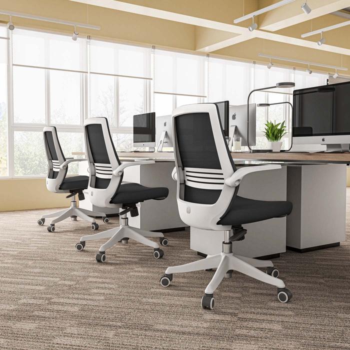 Image du produit Sihoo Chaise de bureau