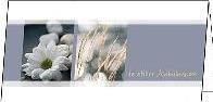 Actual product image Sigel Mourning cards with envelope (10 pcs.)