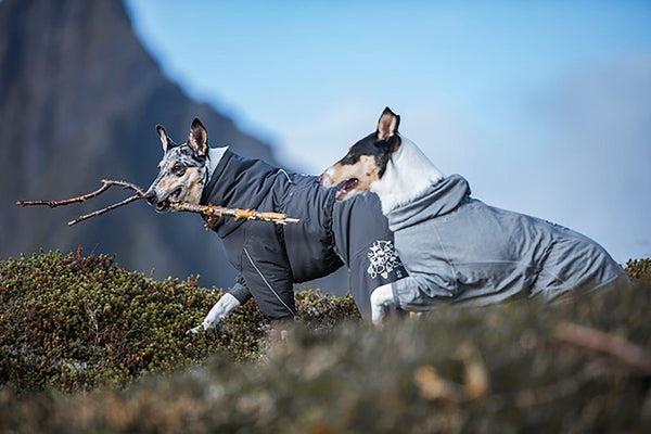 Immagine prodotto Hurtta Extreme Overall (60, Cappotto per cani)