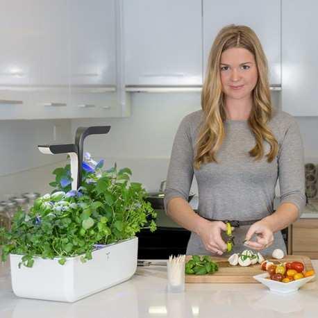 Actual product image Véritable Connect Indoor Garden (18 cm)