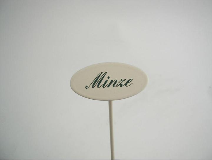 Gewürzstecker Minze 20 cm (20 cm)