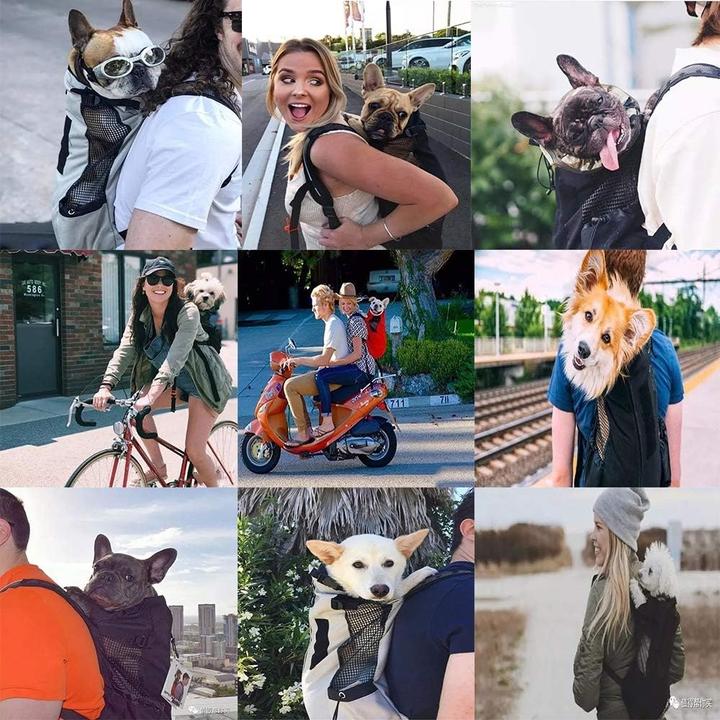 Immagine prodotto WLDOCA Hunderucksack (Cane, Pieghevole, Traspirante, Lavabile)