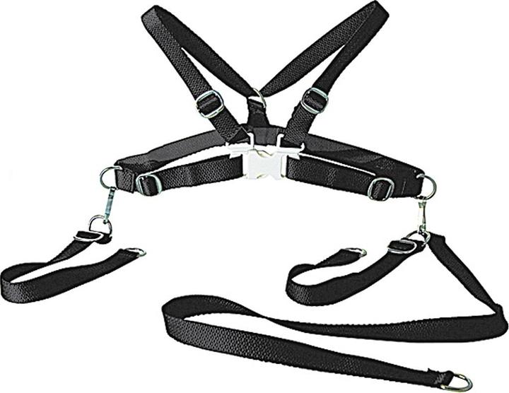 Actual product image Sunnybaby Child safety harness