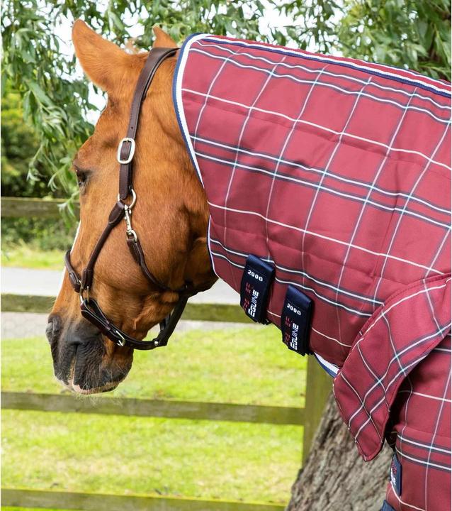 Produktbild Premier Equine Domus 200 g (175 cm)