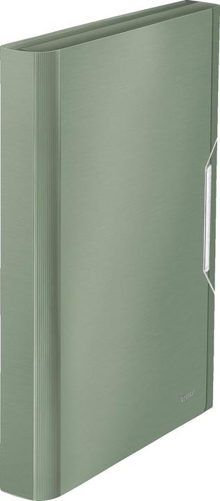 Actual product image Leitz Folder (A4, 1 x)
