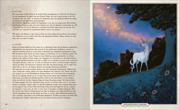 Produktbild Fast verschwundene Fabelwesen. Die sagenhafte Expedition des Konstantin O. Boldt (Deutsch, Florian Schäfer, 2023)