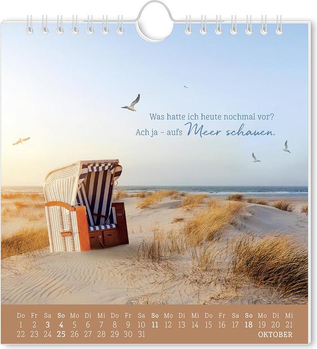 Actual product image Postkartenkalender 2026 Strandgut (16 x 17 cm, German)