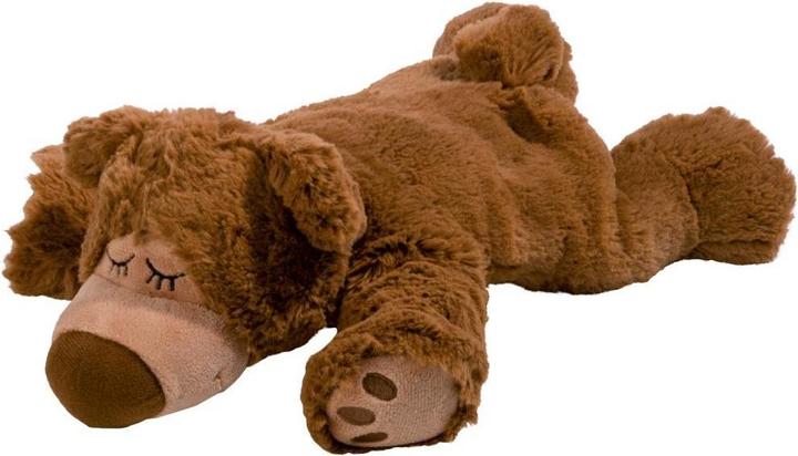 Image du produit Warmies Sleepy Bear (32 cm)