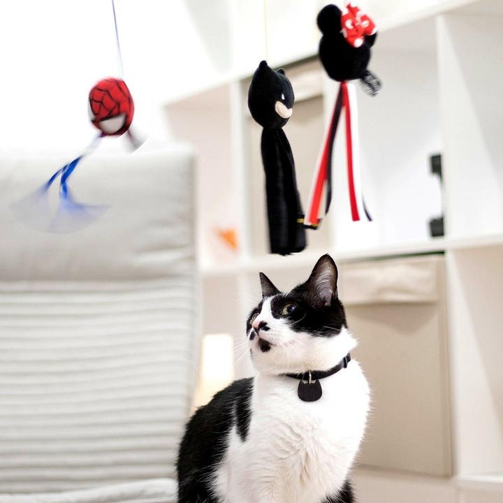 Image du produit Minnie Mouse Jouet pour chats Noir (Jouets avec herbe à chat)