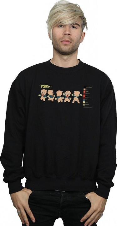 Produktbild Looney Tunes Porky Pig Colour Code Sweatshirt (XXL)