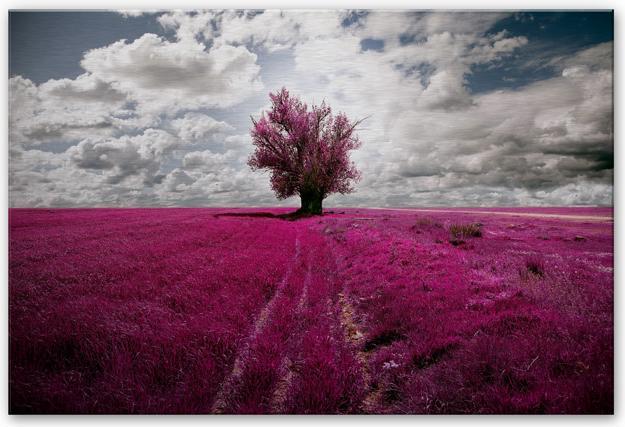 Produktbild Trenddeko The Lonely Tree (120 x 75 cm)