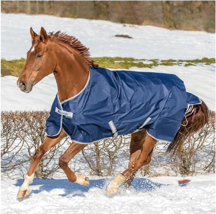 Produktbild Bucas Freedom Turnout 300g Winterdecke (135 cm)