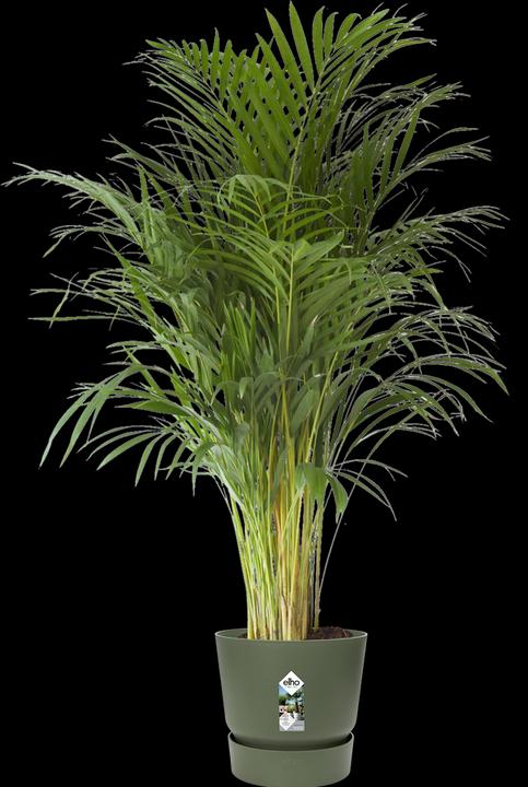 Actual product image Elho Greenville (47 cm)