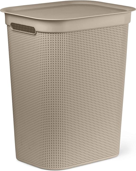 Image du produit Rotho Brises 1 (50 l)