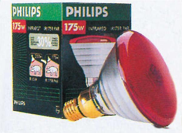 Actual product image Philips 22302 Economy lamp, 100 W, red (100 W)