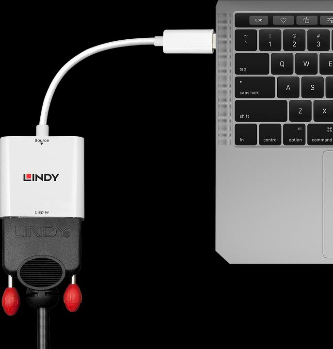 Produktbild Lindy USB 3.1 Typ C zu (DVI, 17 cm)