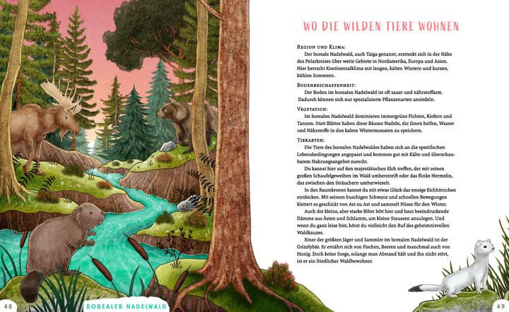 Immagine prodotto Wir sind die Tiere des Waldes (Tedesco, Sophie Schoenwald, 2024)