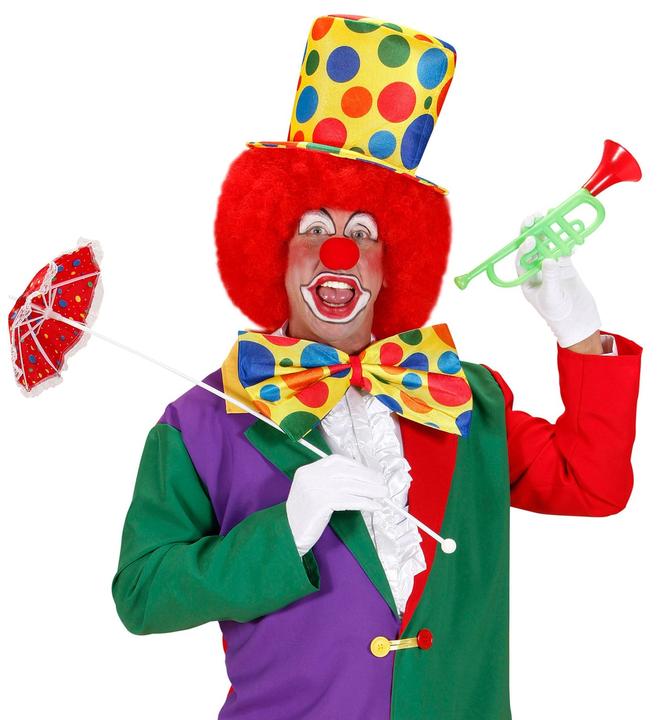 Immagine prodotto Widmann Clown mosca gigante