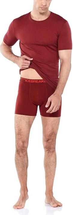 Actual product image Icebreaker Anatomica (S)