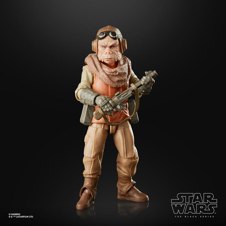 Image du produit Hasbro The Black Series Kuiil