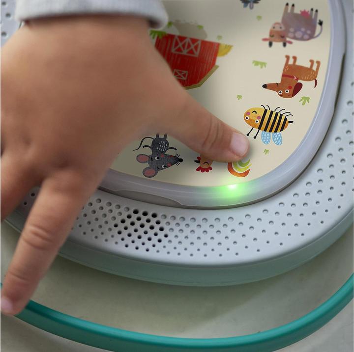 Produktbild Timio Audio Player (Spanisch, Portugiesisch, Italienisch, Englisch, Französisch, Niederländisch, Deutsch, Multilingual, Chinesisch)