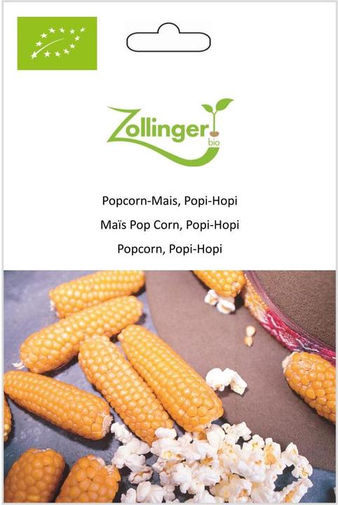 Zollinger Bio Maïs à pop-corn, Popi-Hopi (Germes)