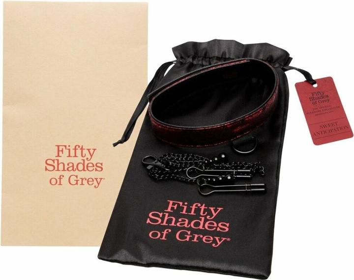 Image du produit Fifty Shades of Grey Pinces à tétons Sweet Anticipation Collar
