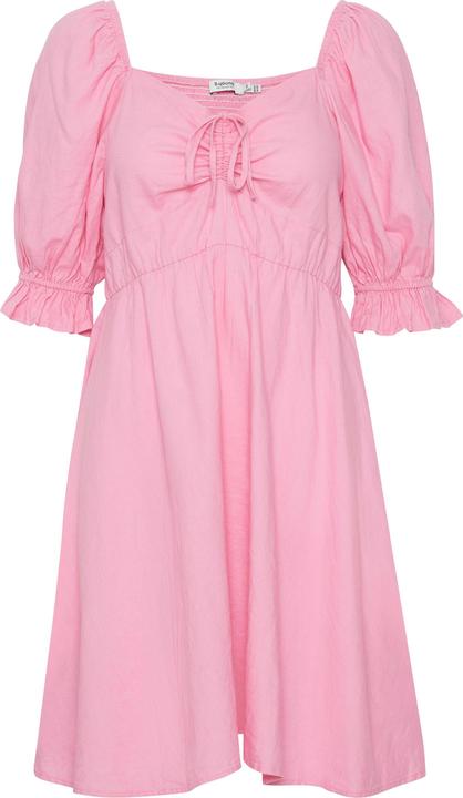 Begonia Pink (152215)