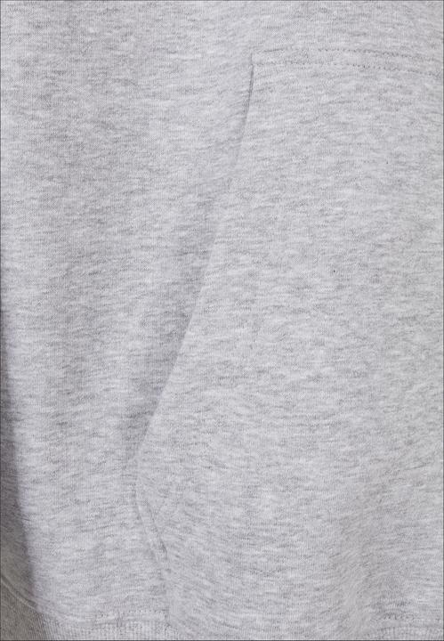 Image du produit Karl Kani KKMQ32061GRY Petit sweat à capuche Signature gris cendré - 16069 (M)