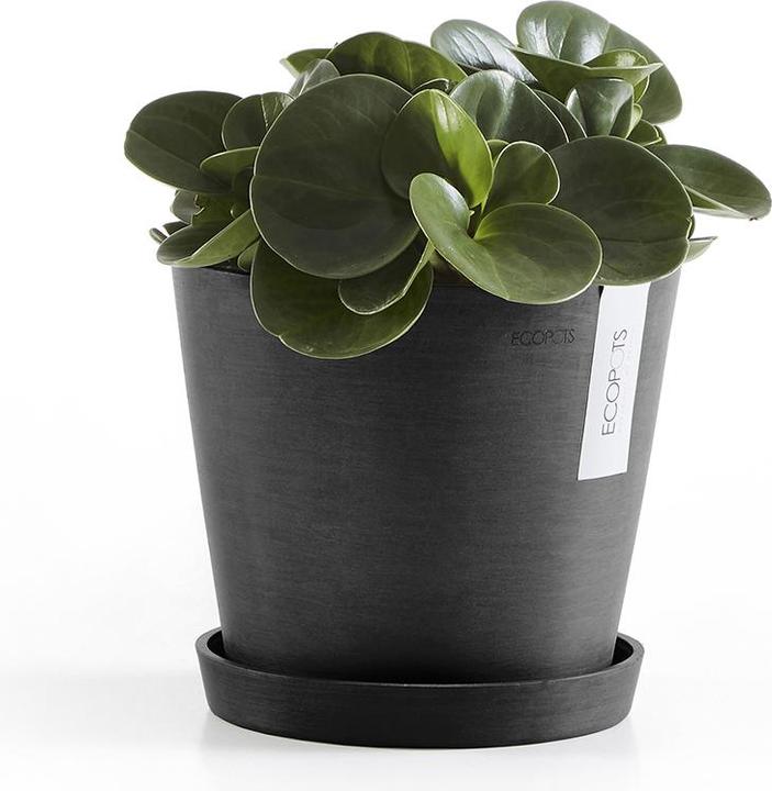 Immagine prodotto Ecopots Saucer Round