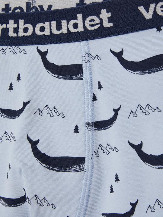 Actual product image Vertbaudet Underwear Bottom (104, 5-pack)