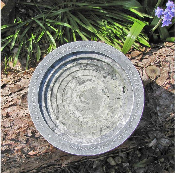 Actual product image Wildlife World Oasis bird bath 30 x 30 x 5.5 cm
