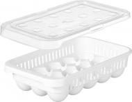 Actual product image Kinvara plastic egg cup 15 holes white transparent