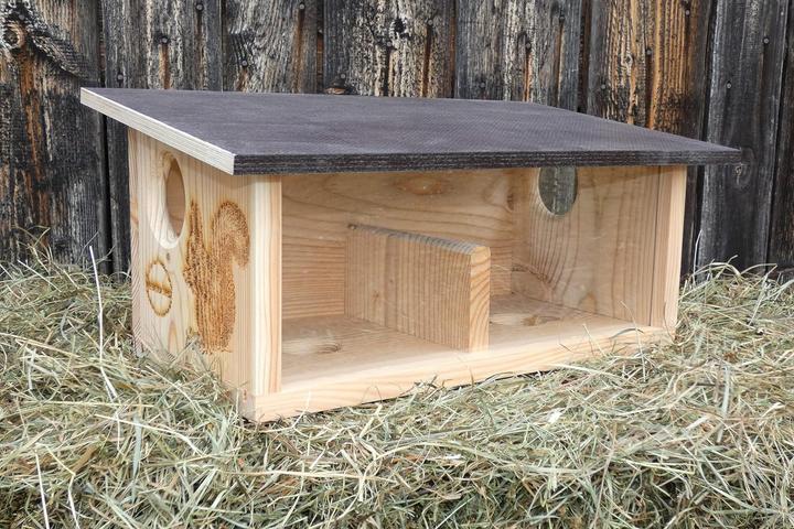 Actual product image Arbrikadrex Squirrel Feeder