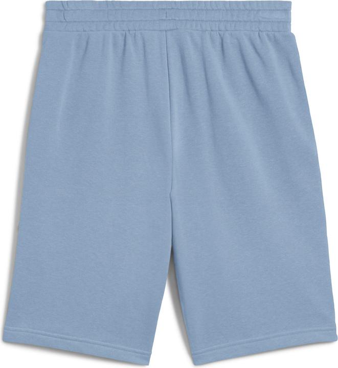 Actual product image Puma ESS 2 COLOR No. 1 Logo Shorts 10" TR (L)