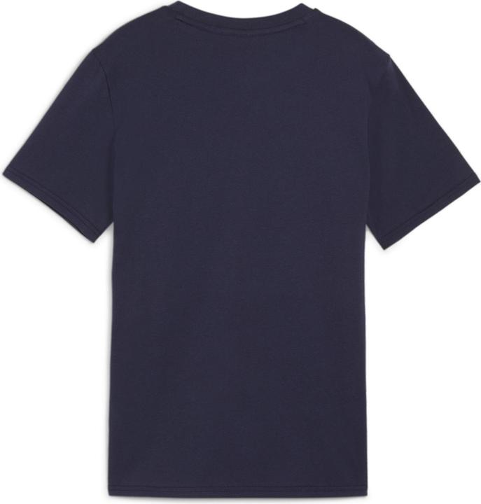 Actual product image Puma teamGOAL Casuals Tee Jr (152)