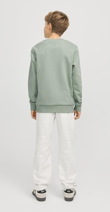 Actual product image Jack & Jones Jjecaleb Varsity Sweat Crew Neck Sn Jnr (176)