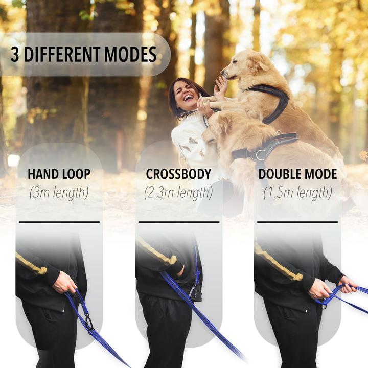 Image du produit Bluzelle 3m laisse de chien, double laisse avec mousqueton, réglable (Chien, Promenade)