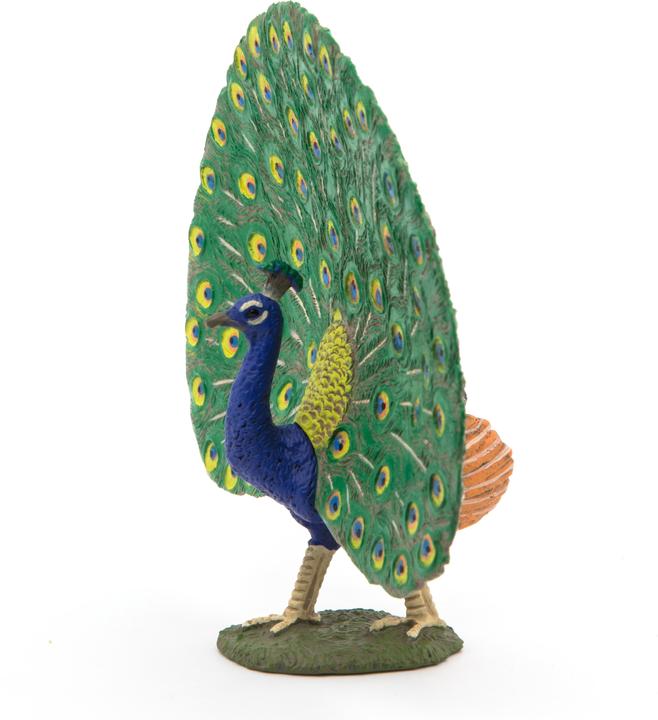 Actual product image Papo Peacock