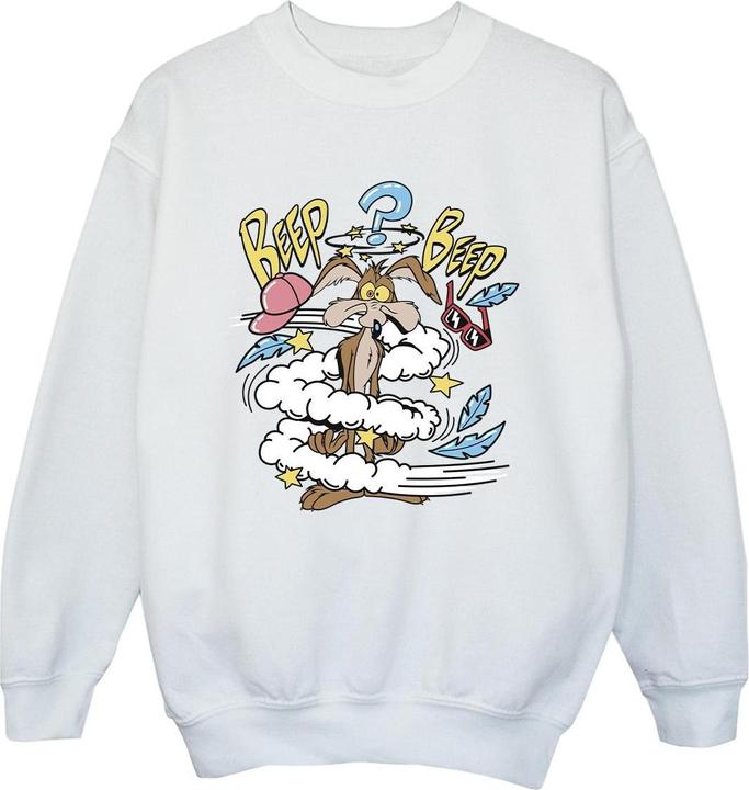 Actual product image Looney Tunes Boys Coyote Daze Sweatshirt (140, 146)