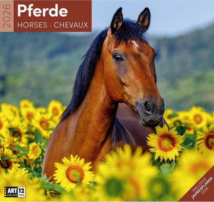 Produktbild Pferde Kalender 2026 - 30x30 (30 x 30 cm, Harter Einband, Deutsch)