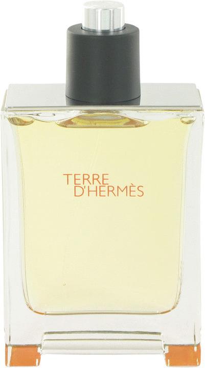 Hermès Terre D' (Eau de Toilette, 100 ml)
