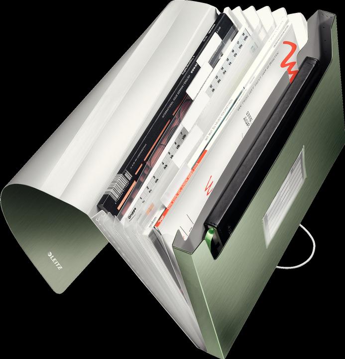 Actual product image Leitz Folder (A4, 1 x)