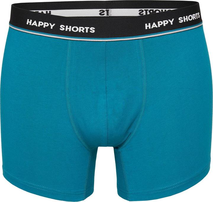 Actual product image Happy shorts Retro Pants Jersey (L, pack of 4)