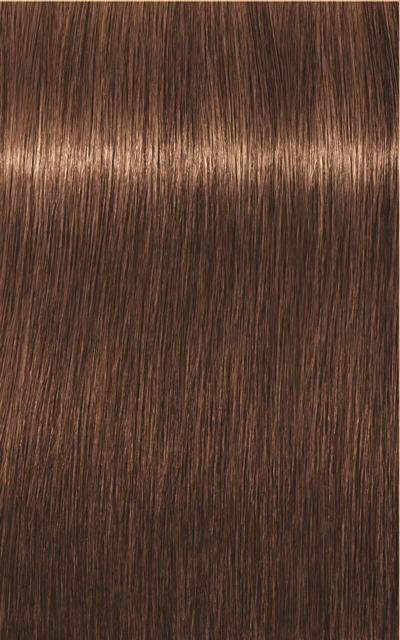 Produktbild Schwarzkopf Professional Igora Royal Absolutes Age Blend (6-60 Dunkelblond Schoko Natur)
