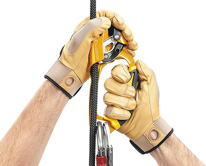 Actual product image Petzl Ascension Right