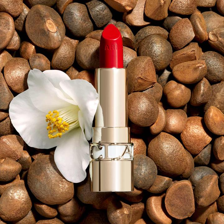Produktbild Clarins Joli Rouge Satin No 742 (Nr. 742 - Joli Rouge)