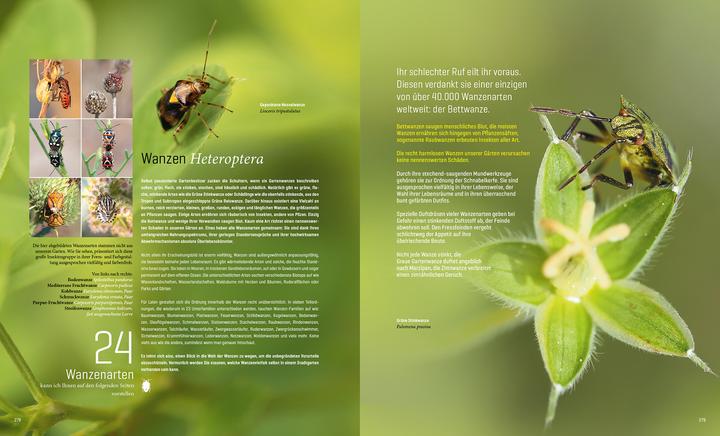 Produktbild Mein Artenretter Garten (Deutsch, Anja Eder, 2024)