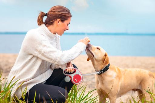 Immagine prodotto Flexi Nuova cintura Comfort (S, Cane, Generale)